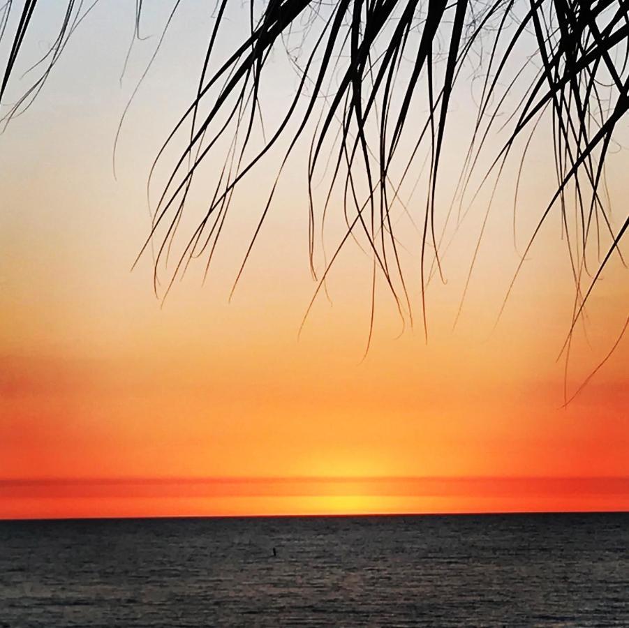 #212 Surf Song Resort St. Pete Beach Luaran gambar